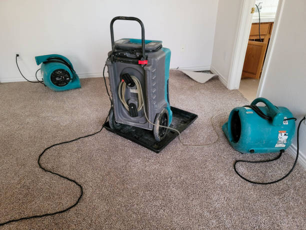 Best Water damage restoration near me  in Granger, WA