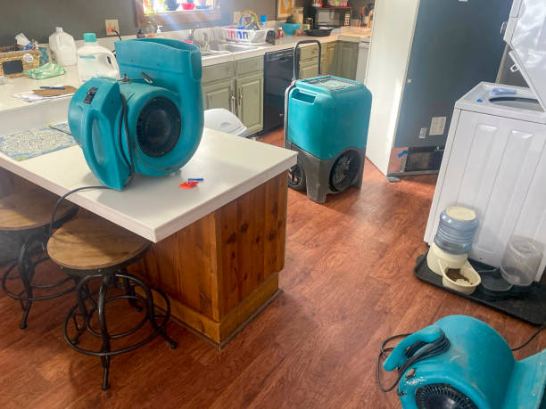 Best Mold removal after water damage  in Granger, WA