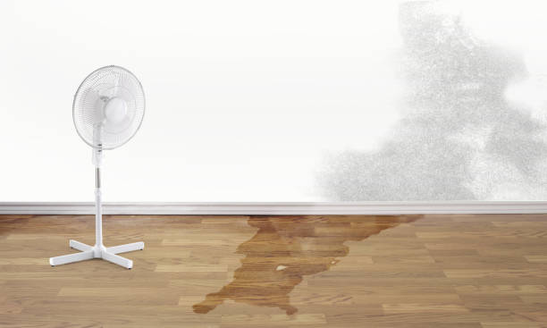 Best Ceiling water damage repair  in Granger, WA