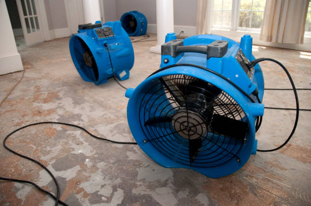 Best Professional water damage repair  in Granger, WA