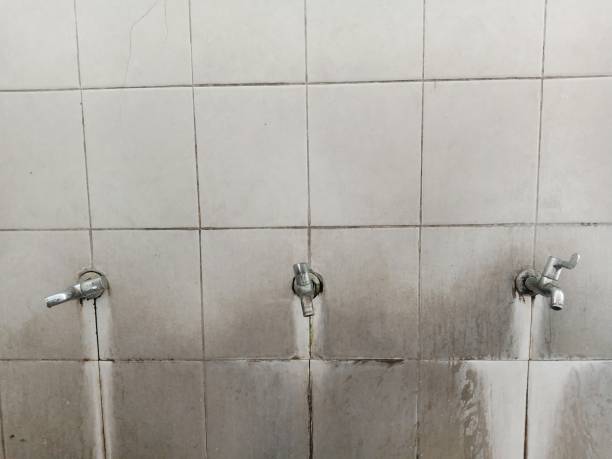 Best Carpet water damage restoration  in Granger, WA
