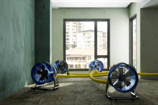 Best Basement water damage restoration  in Granger, WA