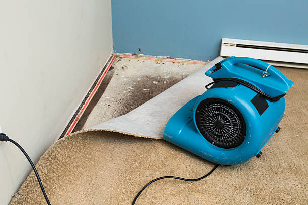Best Flooded house restoration  in Granger, WA